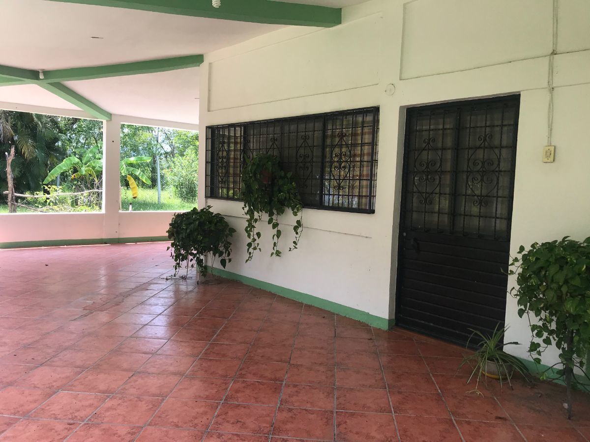 rancho-de-65has-en-venta-en-la-concordia-chiapas2-35061