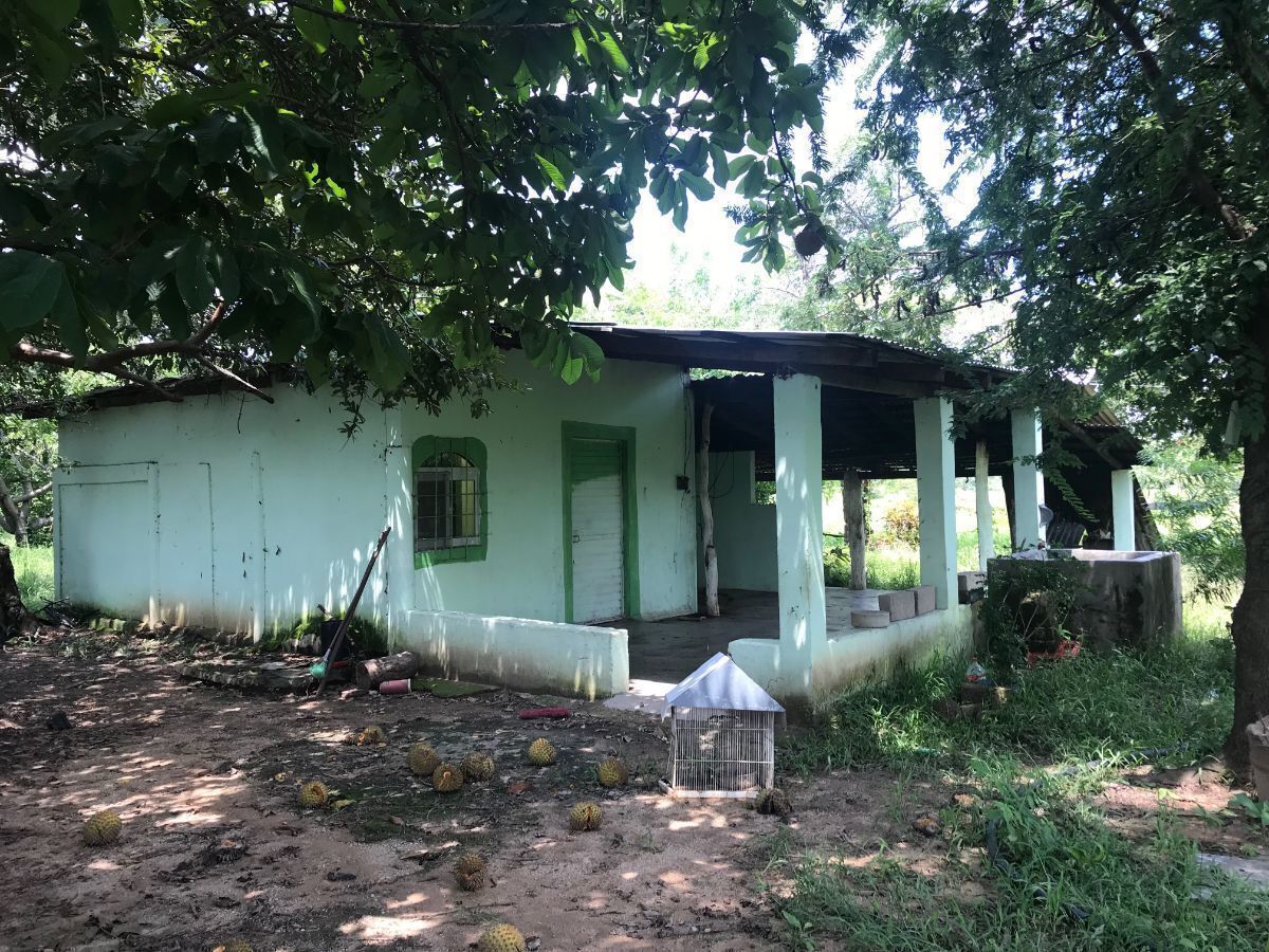 rancho-de-65has-en-venta-en-la-concordia-chiapas7-35061