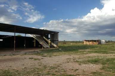 rancho-de-oportunidad-en-zacatecas10-20207