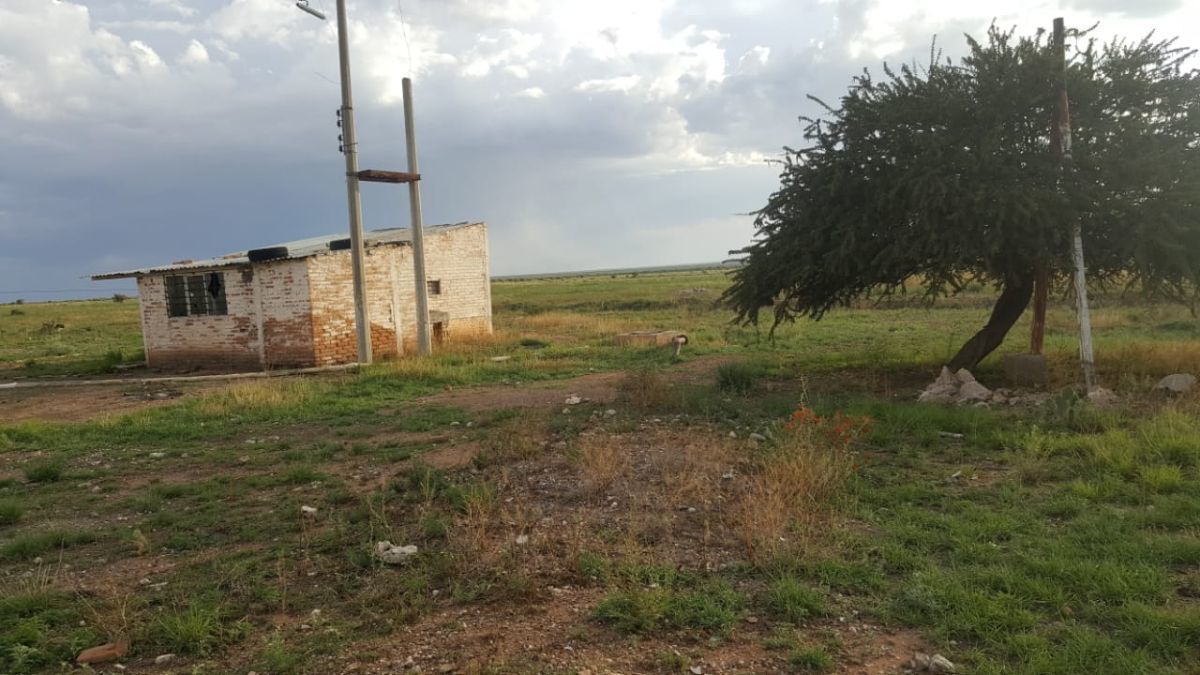 rancho-de-oportunidad-en-zacatecas3-20207