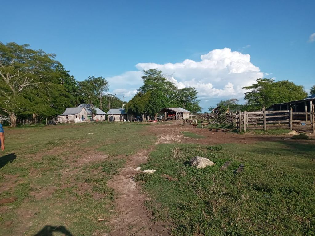 RANCHO EN VENTA, 920 HAS, CARR. ESCÁRCEGA - VILLAHERMOSA