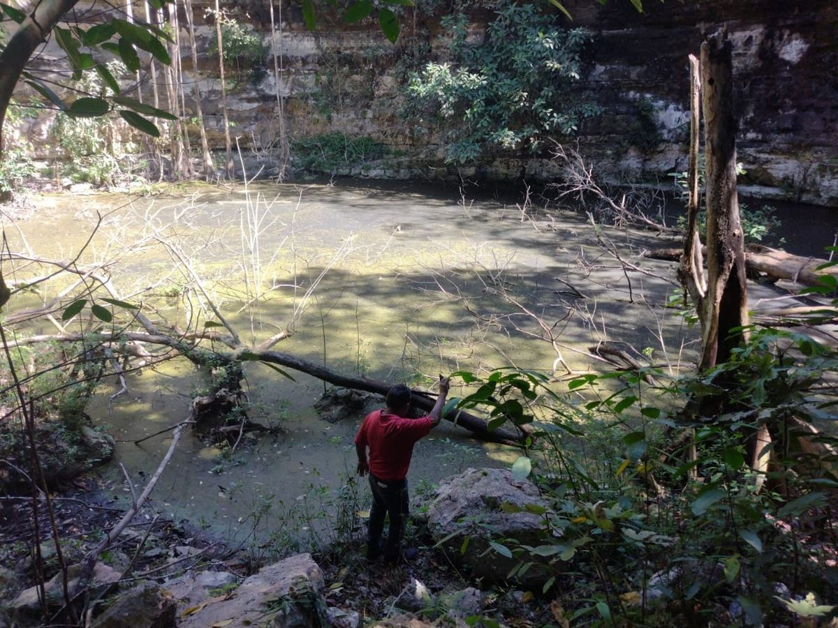 RANCHO EN VENTA CON PAR DE CENOTES Y CASO DE HACIENDA  EN LIBRE UNIÓN, YUCATÁN