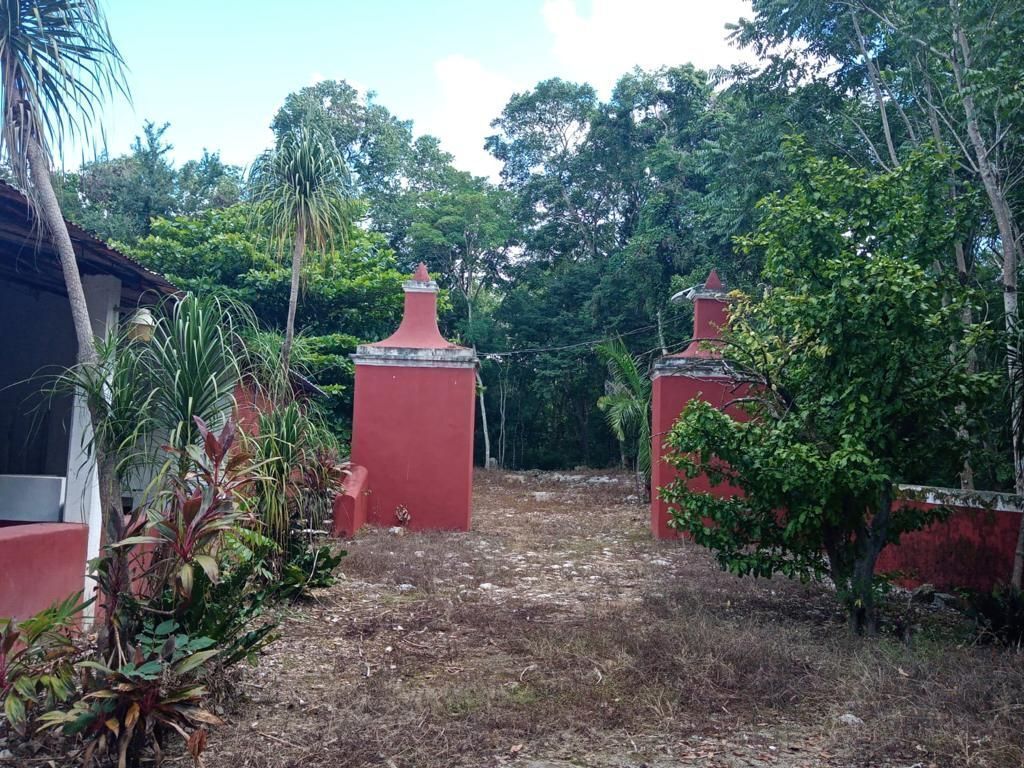 rancho-en-venta-con-par-de-cenotes-y-caso-de-hacienda--en-libre-unin-yucatn15-30924