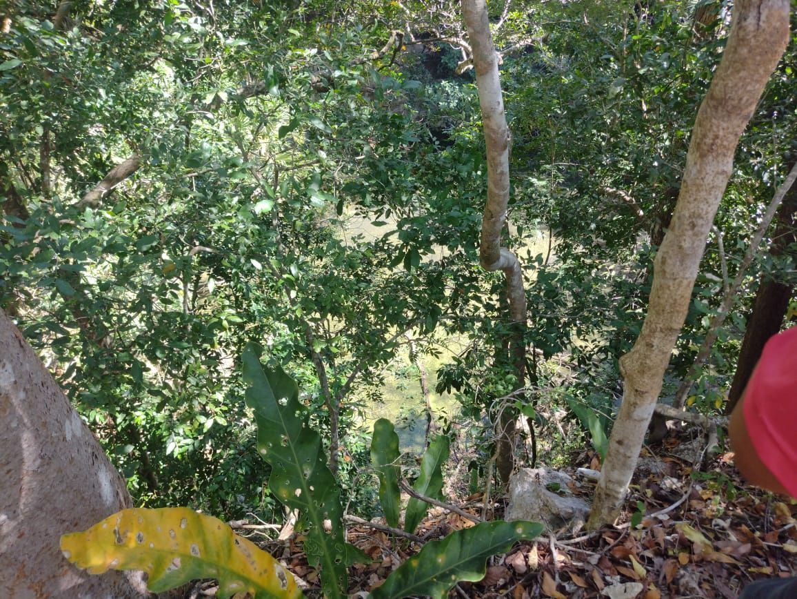 rancho-en-venta-con-par-de-cenotes-y-caso-de-hacienda--en-libre-unin-yucatn8-30924