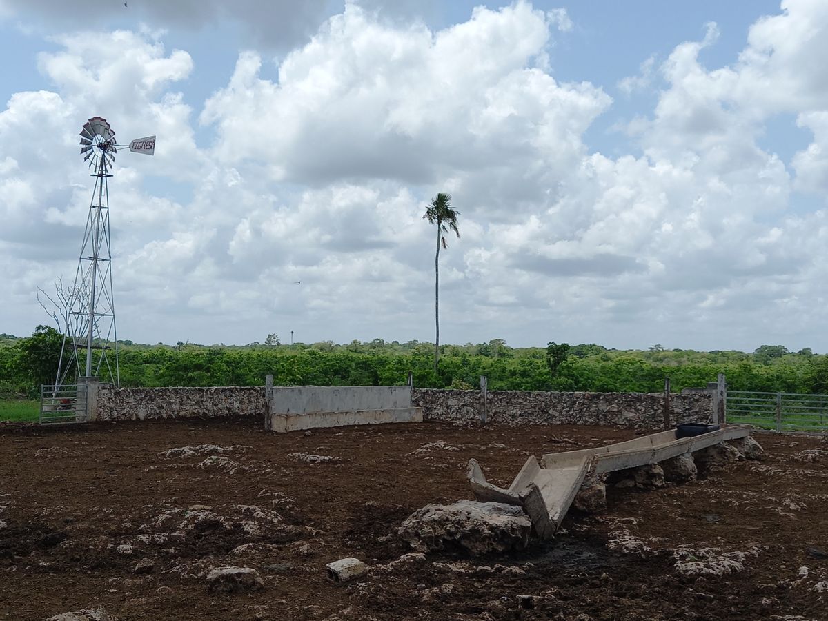 rancho-en-venta-de-472-ha--va-tizimin-yucatn10-25997