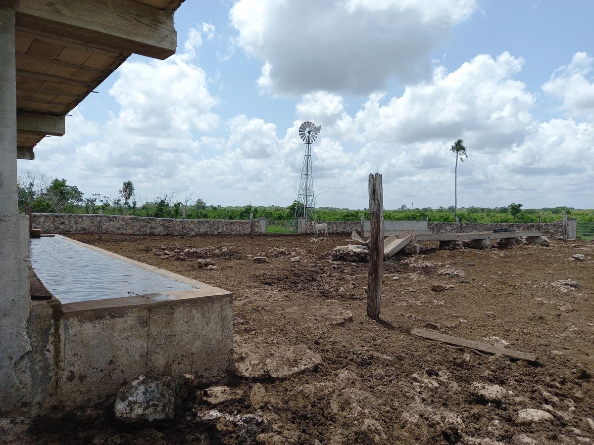 rancho-en-venta-de-472-ha--va-tizimin-yucatn12-25997