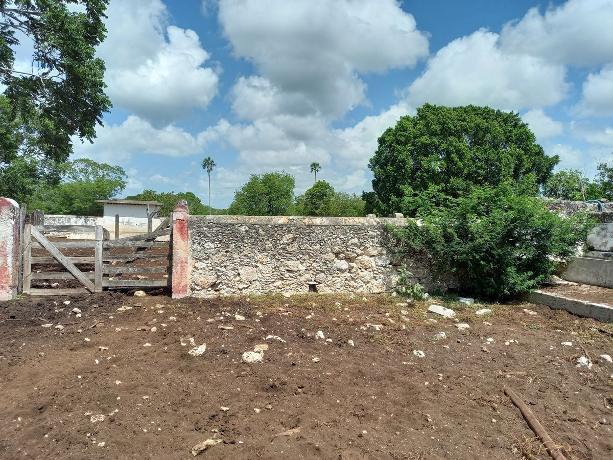 rancho-en-venta-de-472-ha--va-tizimin-yucatn13-25997