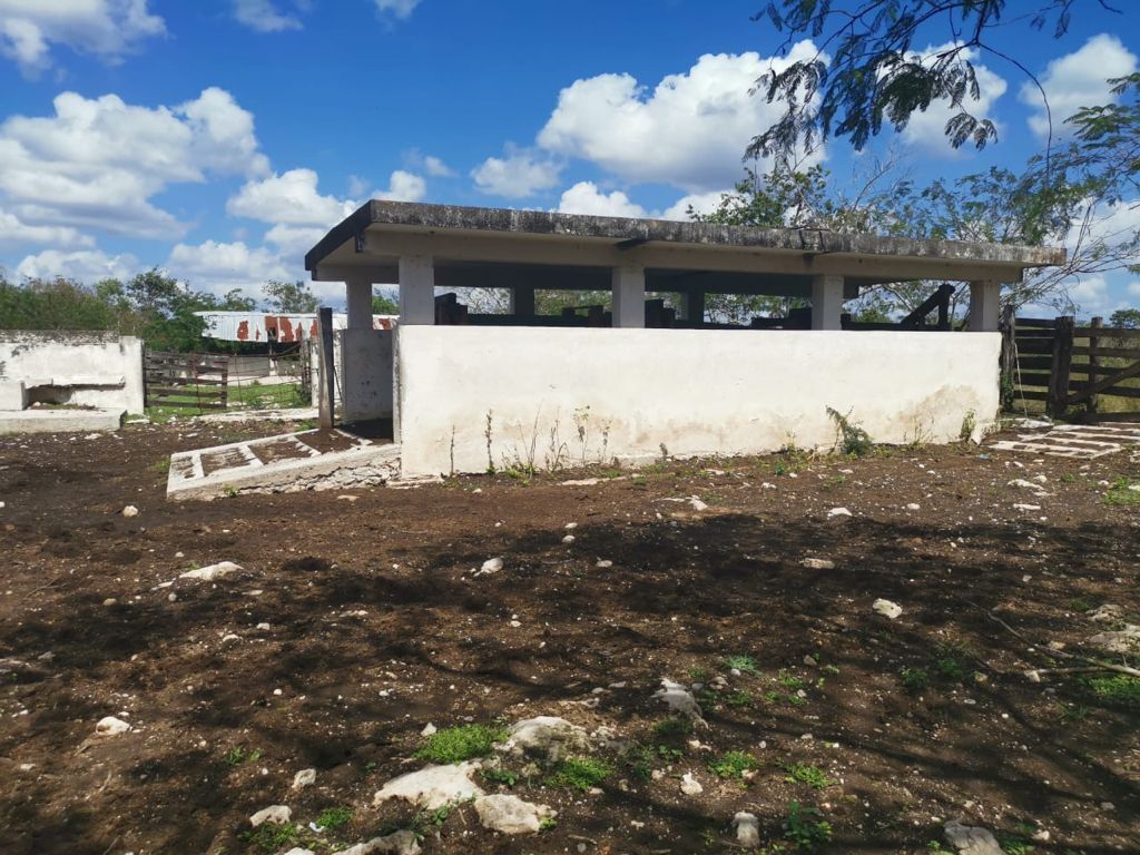 rancho-en-venta-de-472-ha--va-tizimin-yucatn6-25997