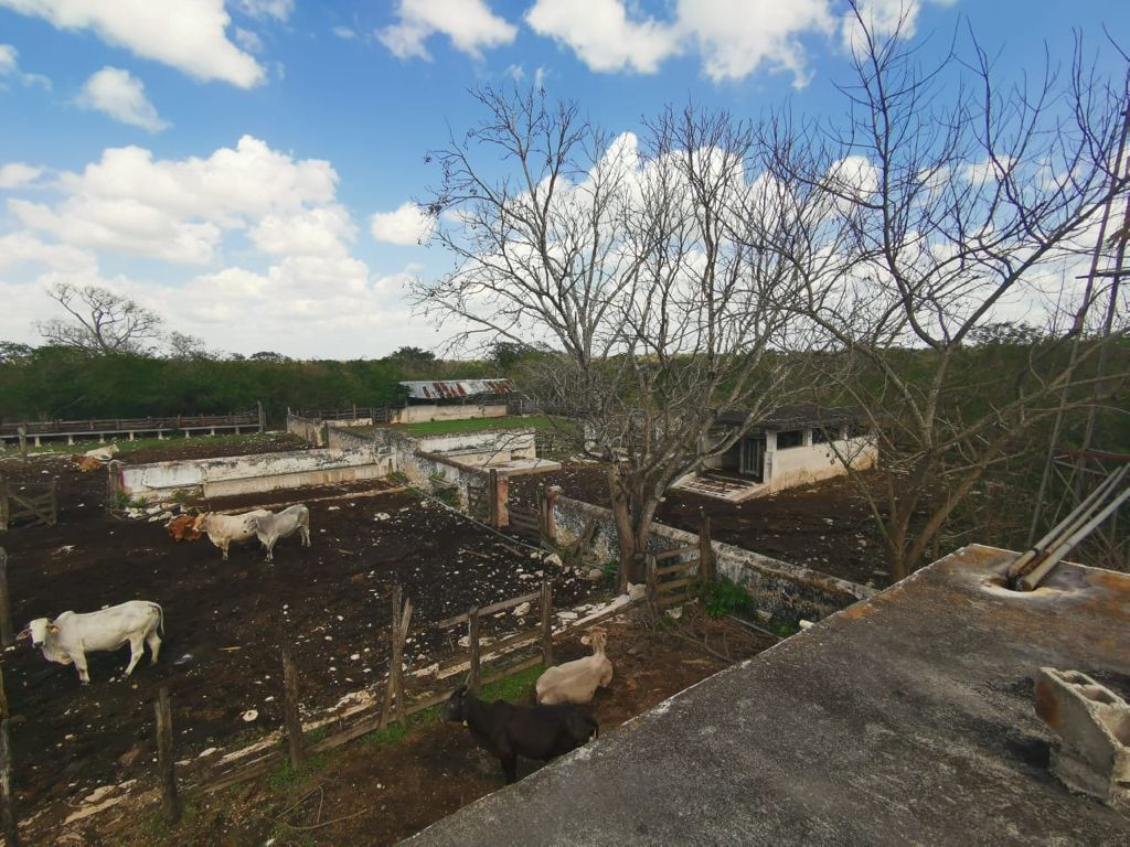 rancho-en-venta-de-472-ha--va-tizimin-yucatn9-25997