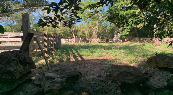 RANCHO EN VENTA EN EL POBLADO DE TAHMUY, EN VALLADOLID YUCATÁN