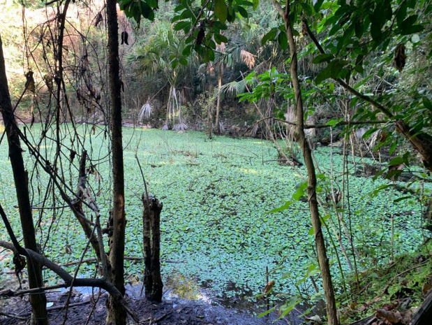 rancho-en-venta-en-el-poblado-de-tahmuy-en-valladolid-yucatn3-36184