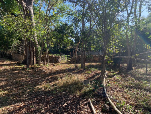 rancho-en-venta-en-el-poblado-de-tahmuy-en-valladolid-yucatn5-36184