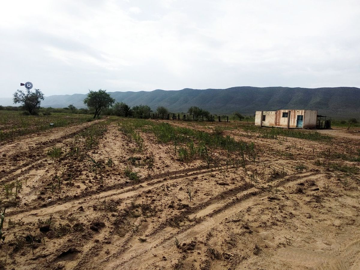 rancho-en-venta-en-santa-teresa-de-los-muchachos-coahuila2-19591