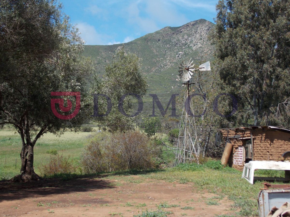 rancho-santa-rosa-en-santo-tomas-ensenada-130983-ha12-30084