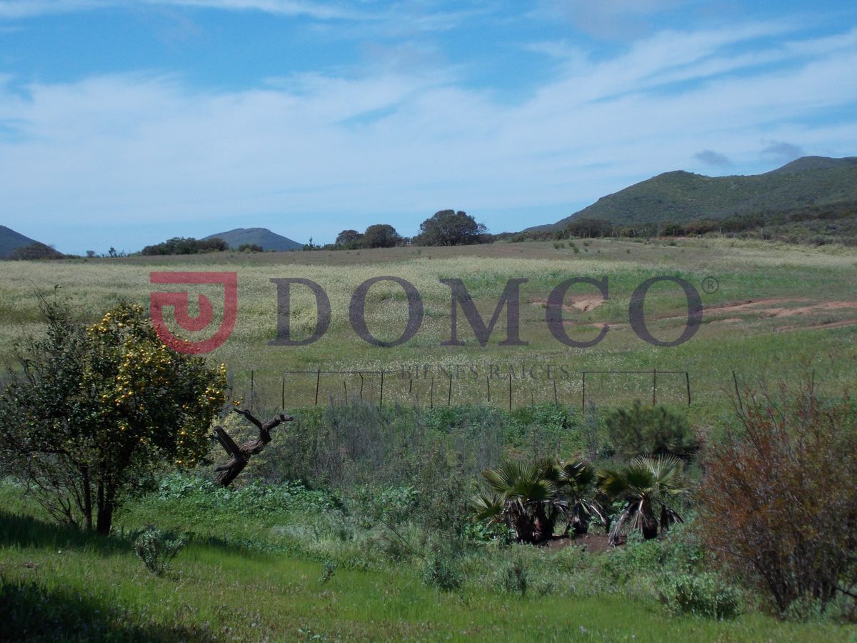 rancho-santa-rosa-en-santo-tomas-ensenada-130983-ha7-30084