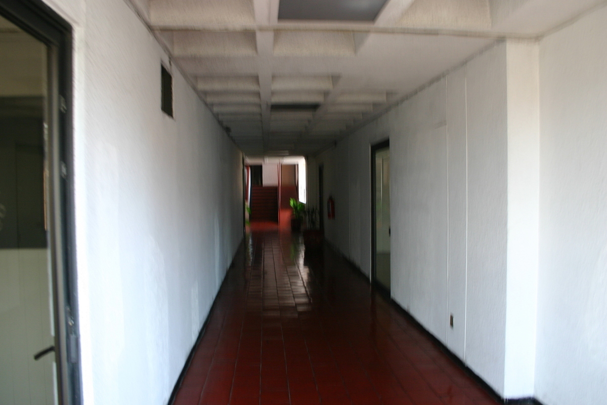 renta--oficinas--centro-de-cuernavaca4-35860