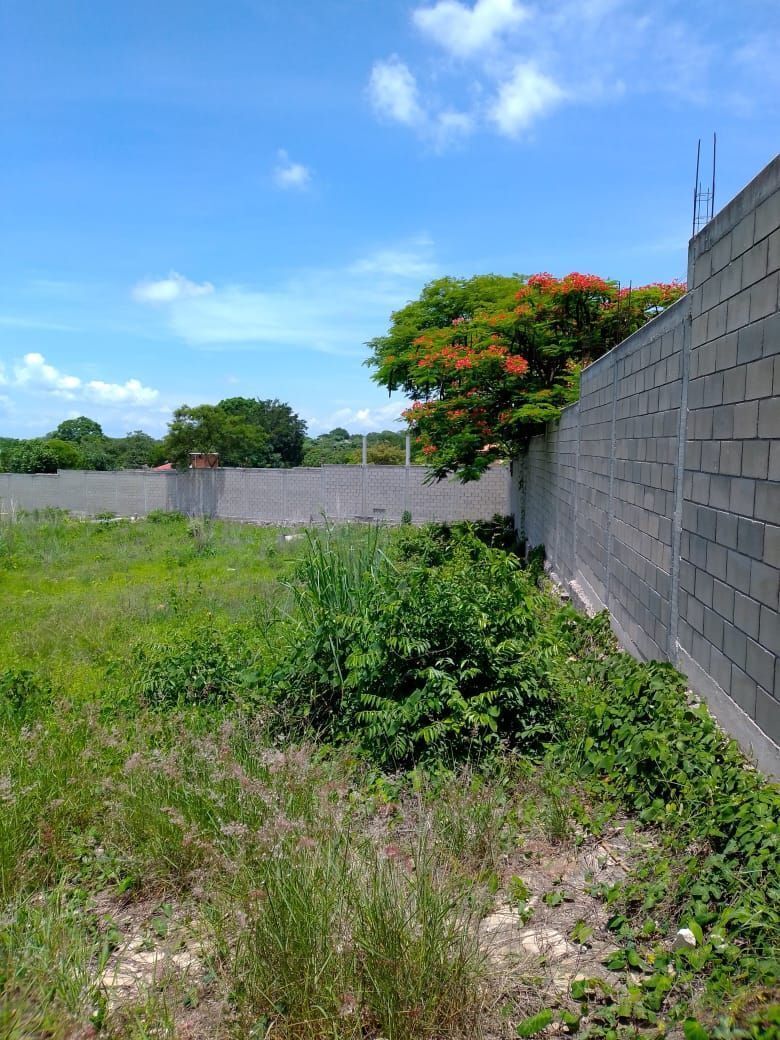 renta-de-terreno-en-autopista-tuxtla-a-ocozocoautla-de-2400-m23-19213