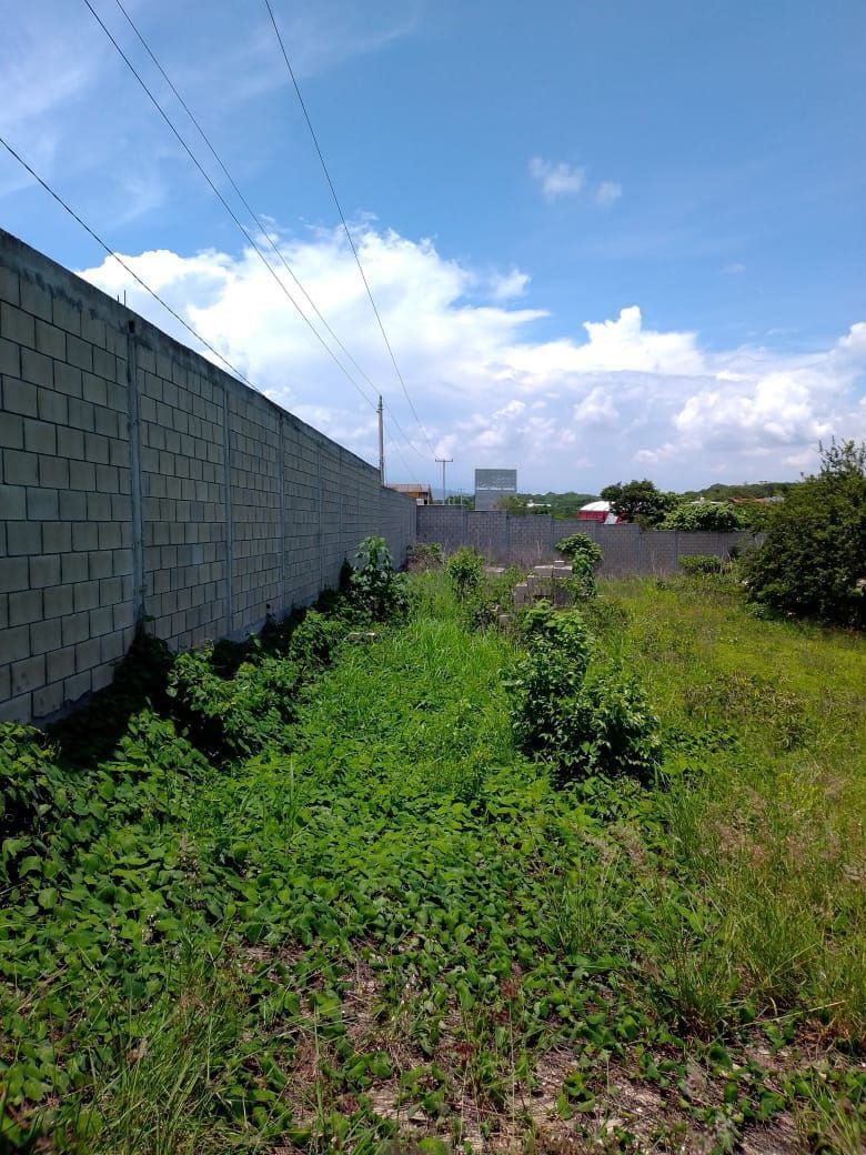 renta-de-terreno-en-autopista-tuxtla-a-ocozocoautla-de-2400-m24-19213