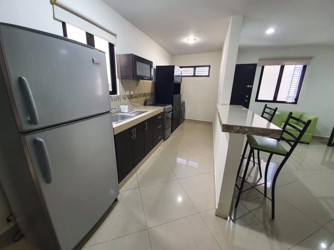 renta-departamento-colonia-maya2-37976