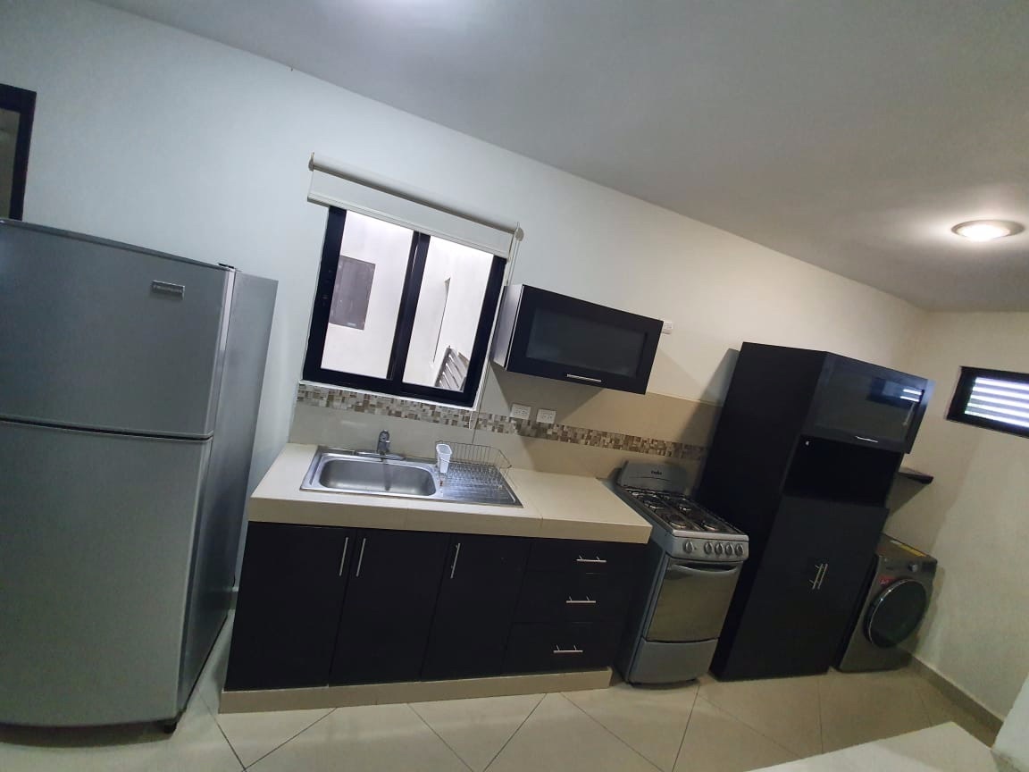 renta-departamento-colonia-maya7-37976