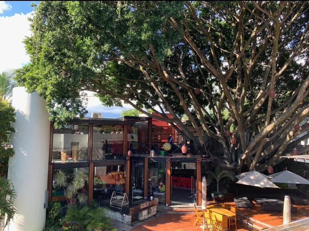 Residencia del árbol, Lomas de Vista Hermosa, Cuernavaca