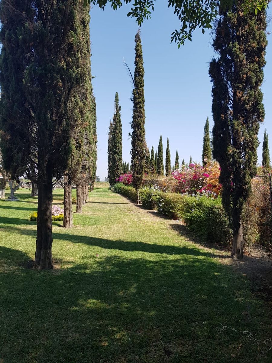 se-vende-casa-con-alberca-en-atlixco-puebla13-18854