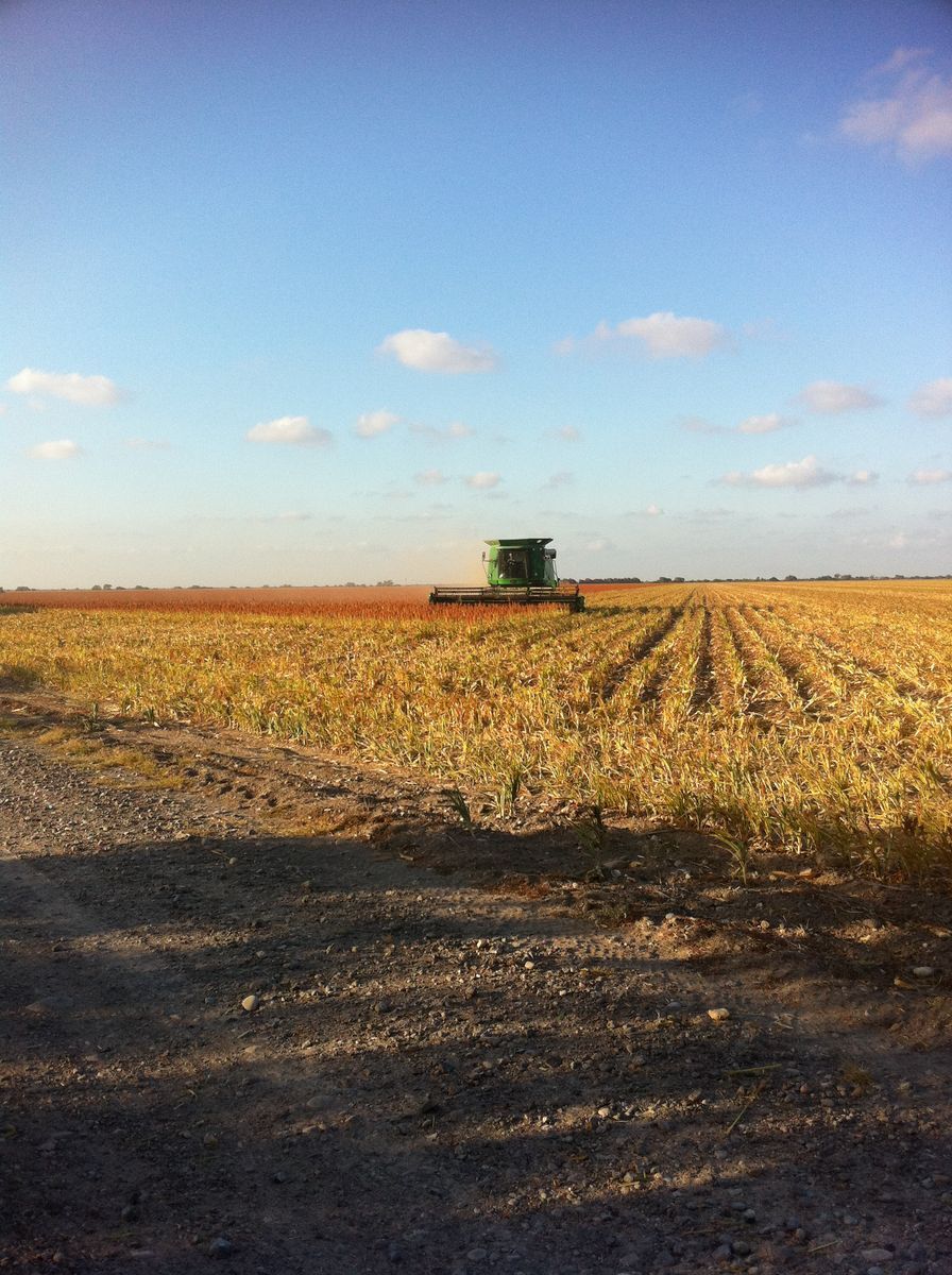 se-vende-rancho-agrcola-matamoros-san-fernando-tamaulipas19-15161