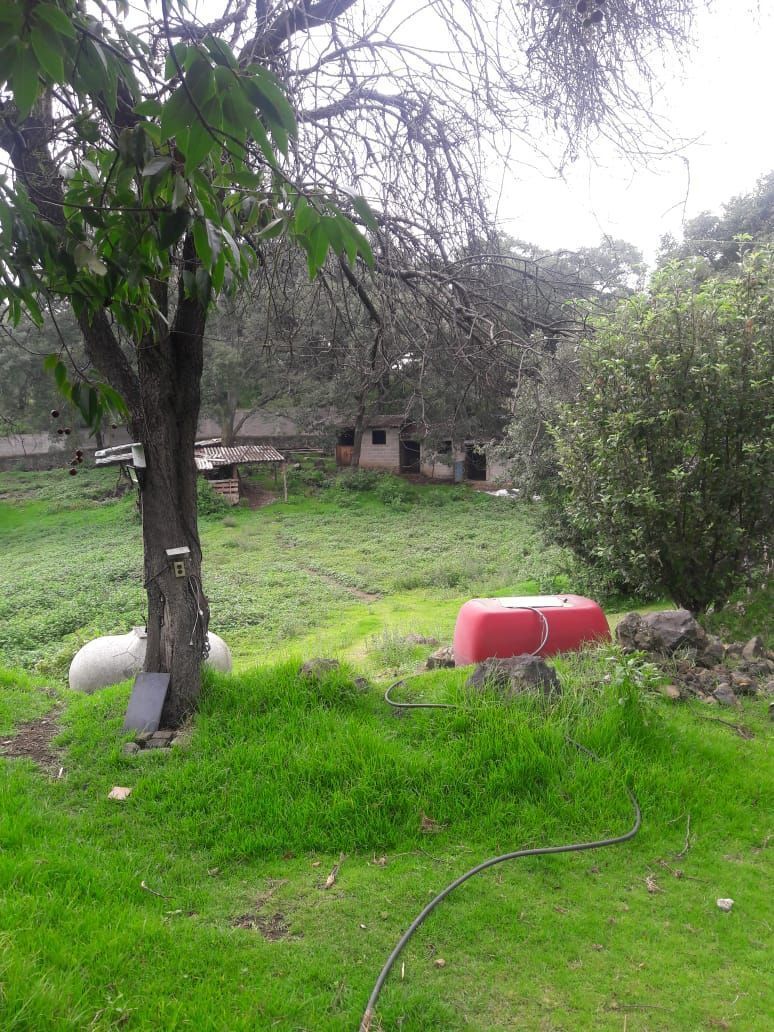 se-vende-rancho-con-casa-y-terreno-amplio-en-xochimilco3-14790