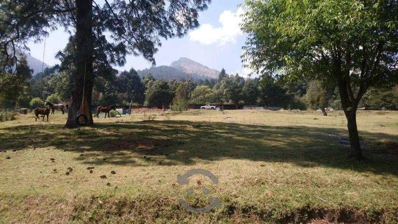 se-vende-rancho-en-san--miguel-ajusco-tlalpan-cdmx15-37150