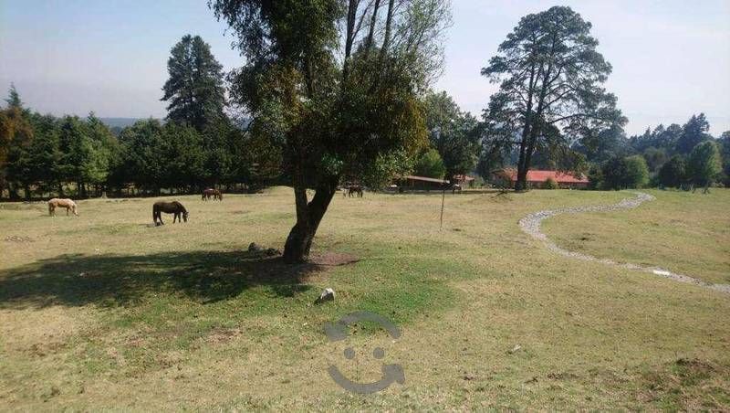 se-vende-rancho-en-san--miguel-ajusco-tlalpan-cdmx16-37150