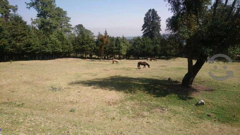 se-vende-rancho-en-san--miguel-ajusco-tlalpan-cdmx4-37150