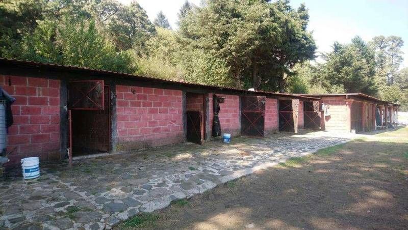 se-vende-rancho-en-san--miguel-ajusco-tlalpan-cdmx9-37150