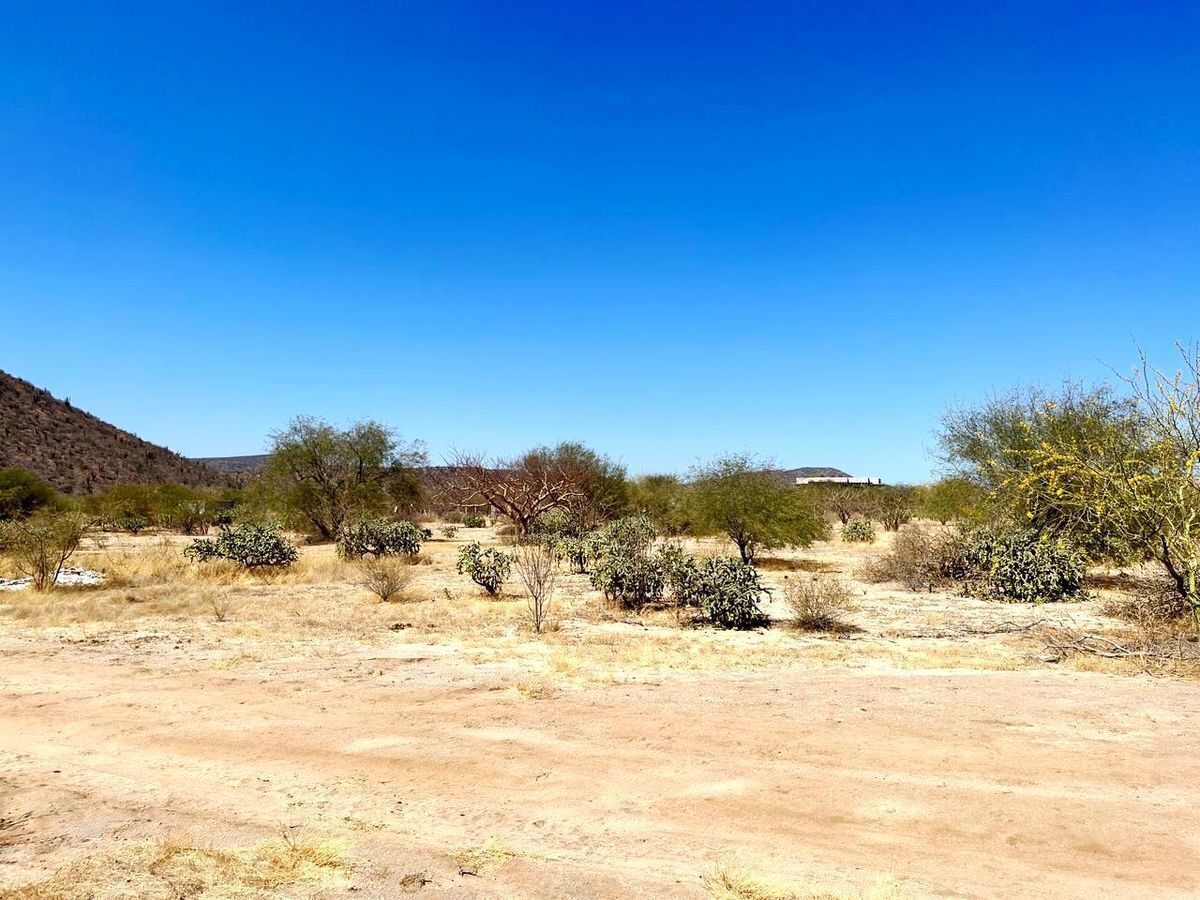 Se vende terreno en Campestre Mezquitito