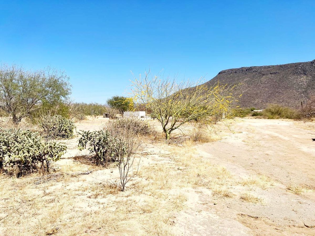 se-vende-terreno-en-campestre-mezquitito6-11834