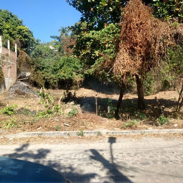 Se vende terreno en Chiapa de Corzo