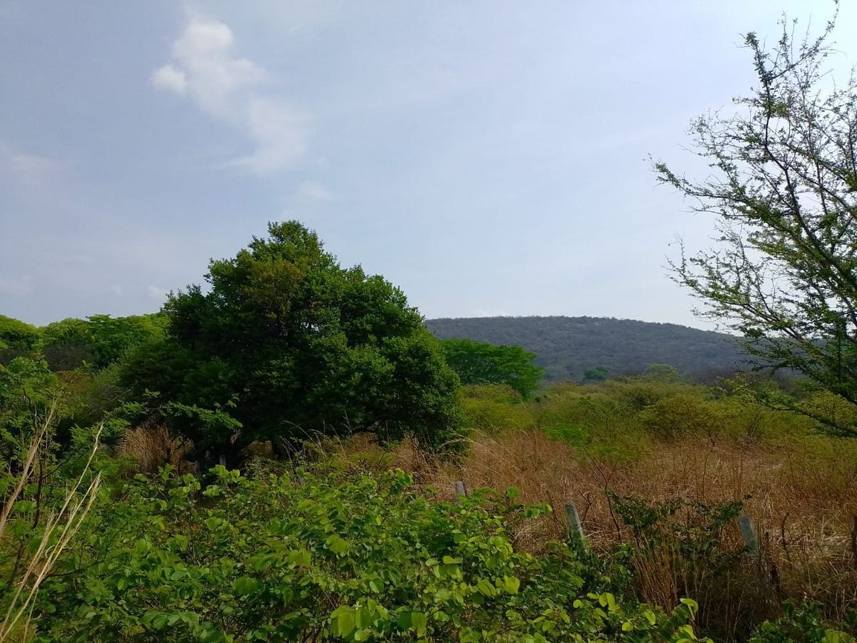 Se VENDE TERRENO en La Trinitaria, Chiapas.