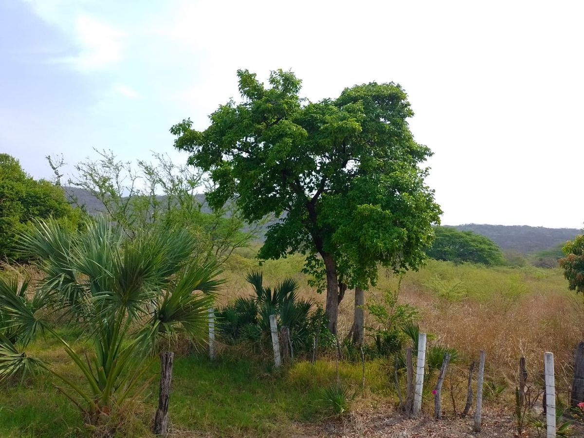 se-vende-terreno-en-la-trinitaria-chiapas6-34241