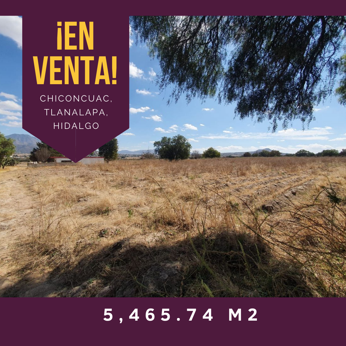 TERRENO  AMPLIO EN VENTA EN CHICONCUAC, TLANALAPA, HIDALGO