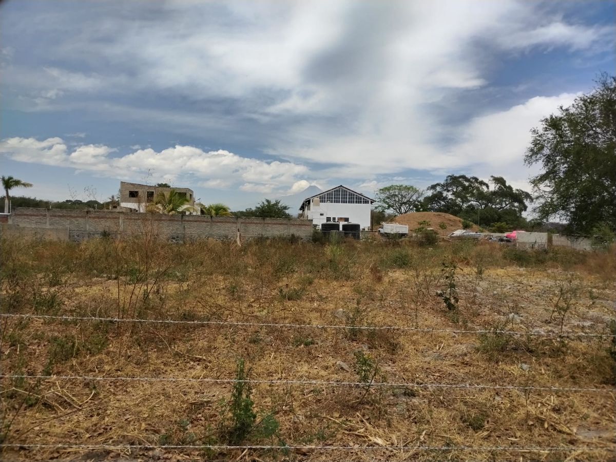 Terreno  en renta en el Trapiche