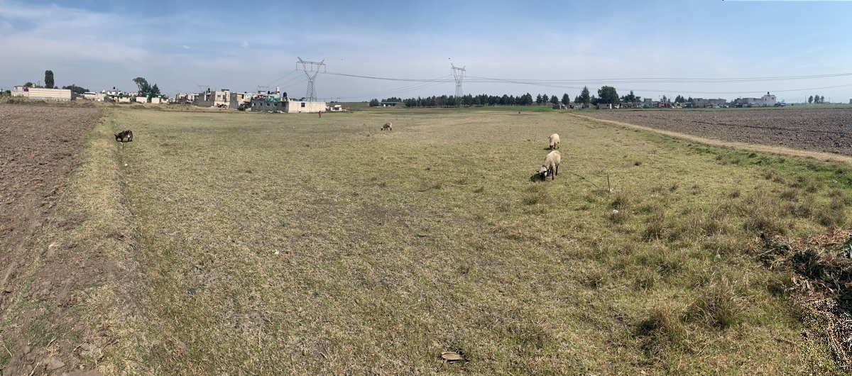 TERRENO  EN VENTA SAN PABLO AUTOPAN, TOLUCA