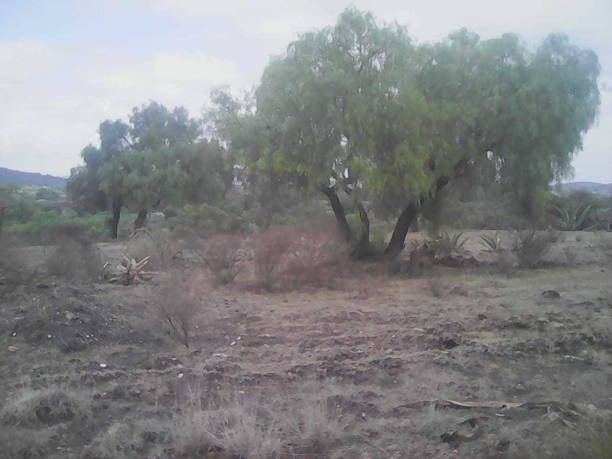 TERRENO  RUSTICO EN  VENTA TEMASCALAPA