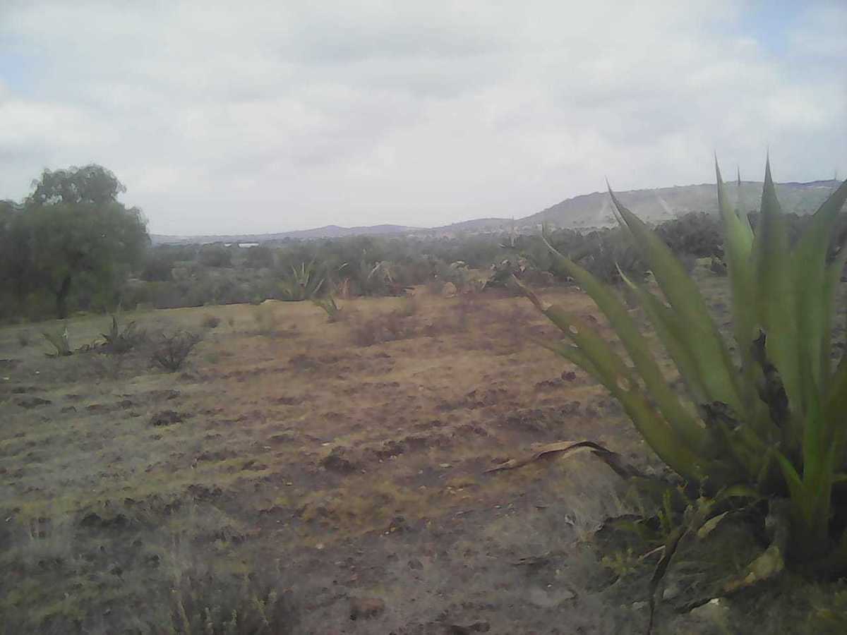 terreno--rustico-en--venta-temascalapa3-23504