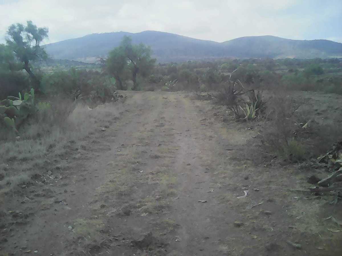 terreno--rustico-en--venta-temascalapa8-23504