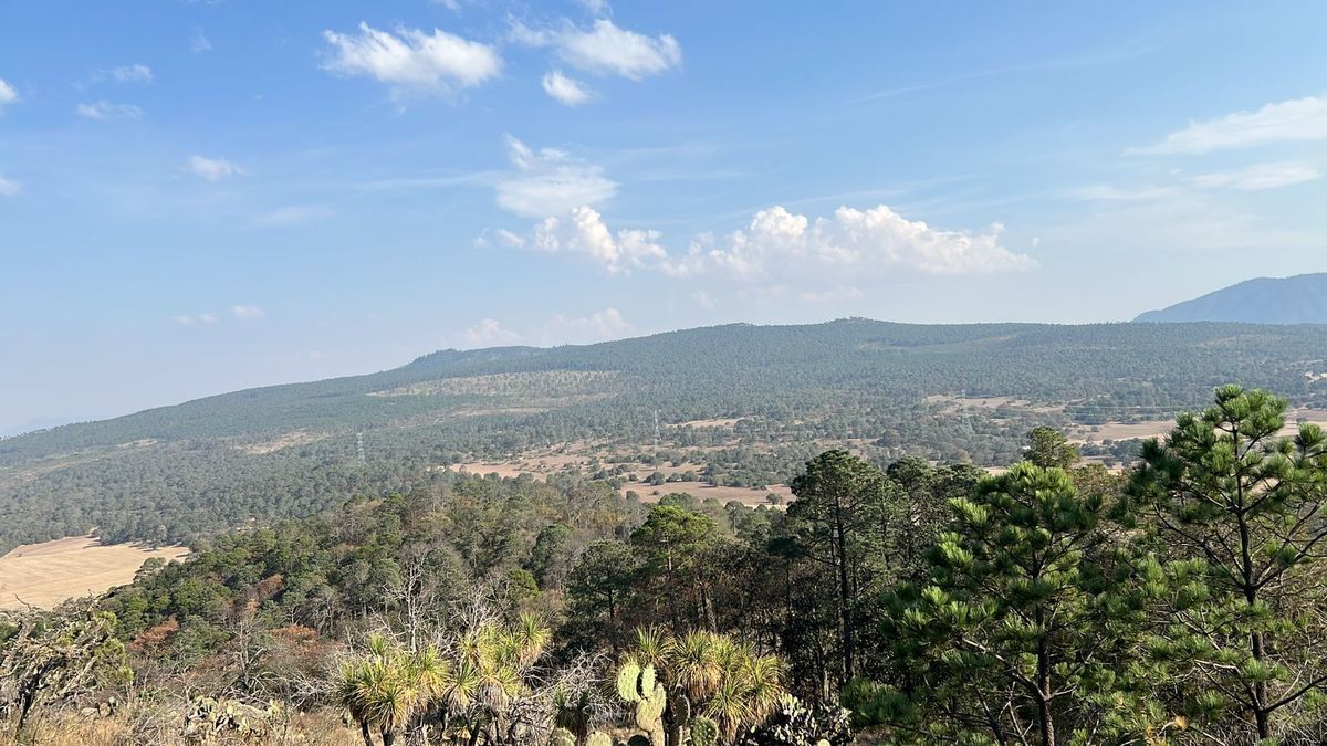 TERRENO 143 HECTAREAS EN SINGUILUCAN HIDALGO.