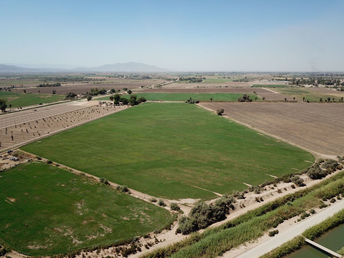 Terreno Agrícola en Venta en Colonia Ahumada - Mexicali