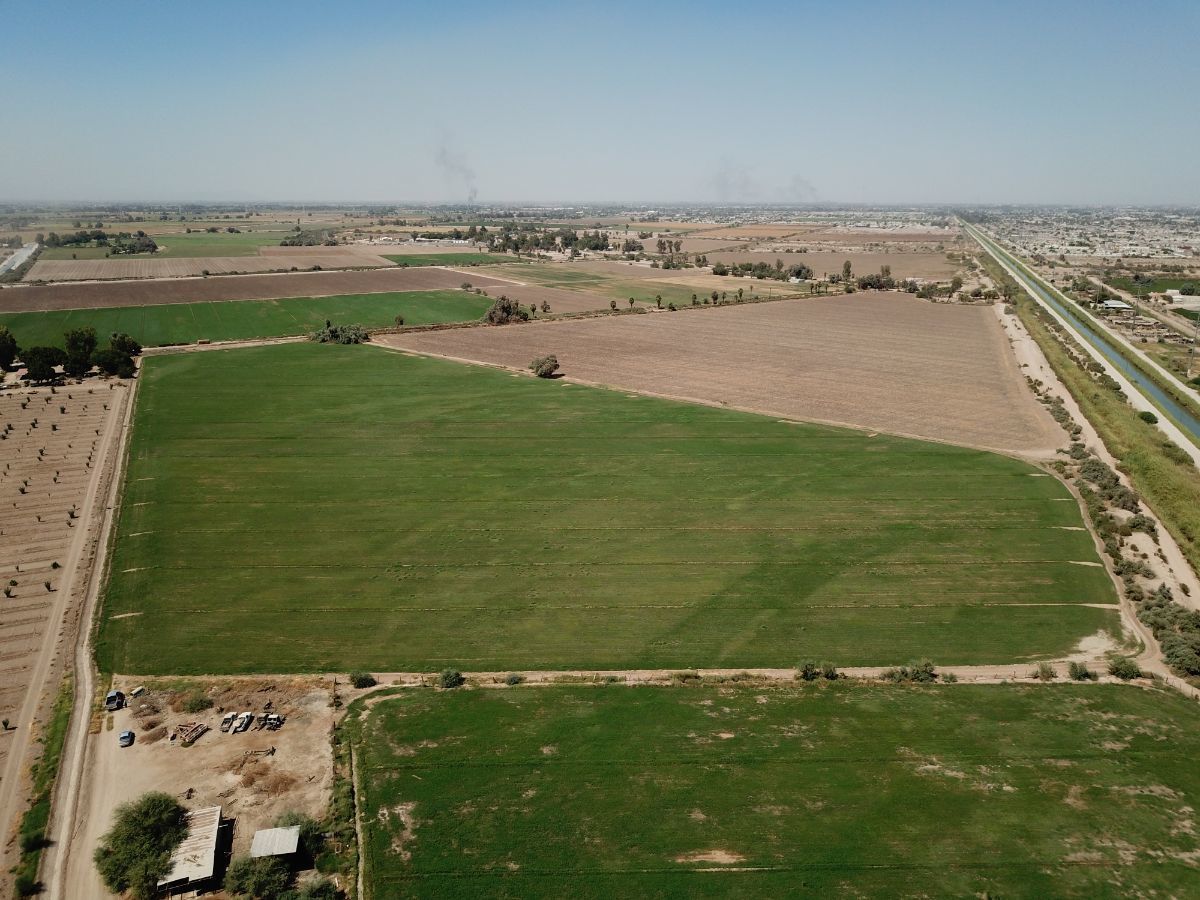 terreno-agrcola-en-venta-en-colonia-ahumada--mexicali2-17958