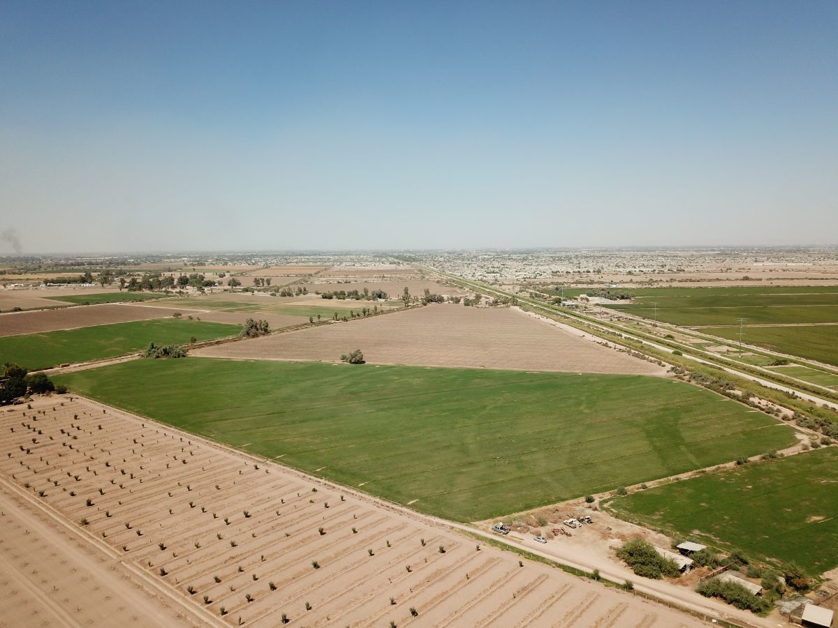 terreno-agrcola-en-venta-en-colonia-ahumada--mexicali3-17958