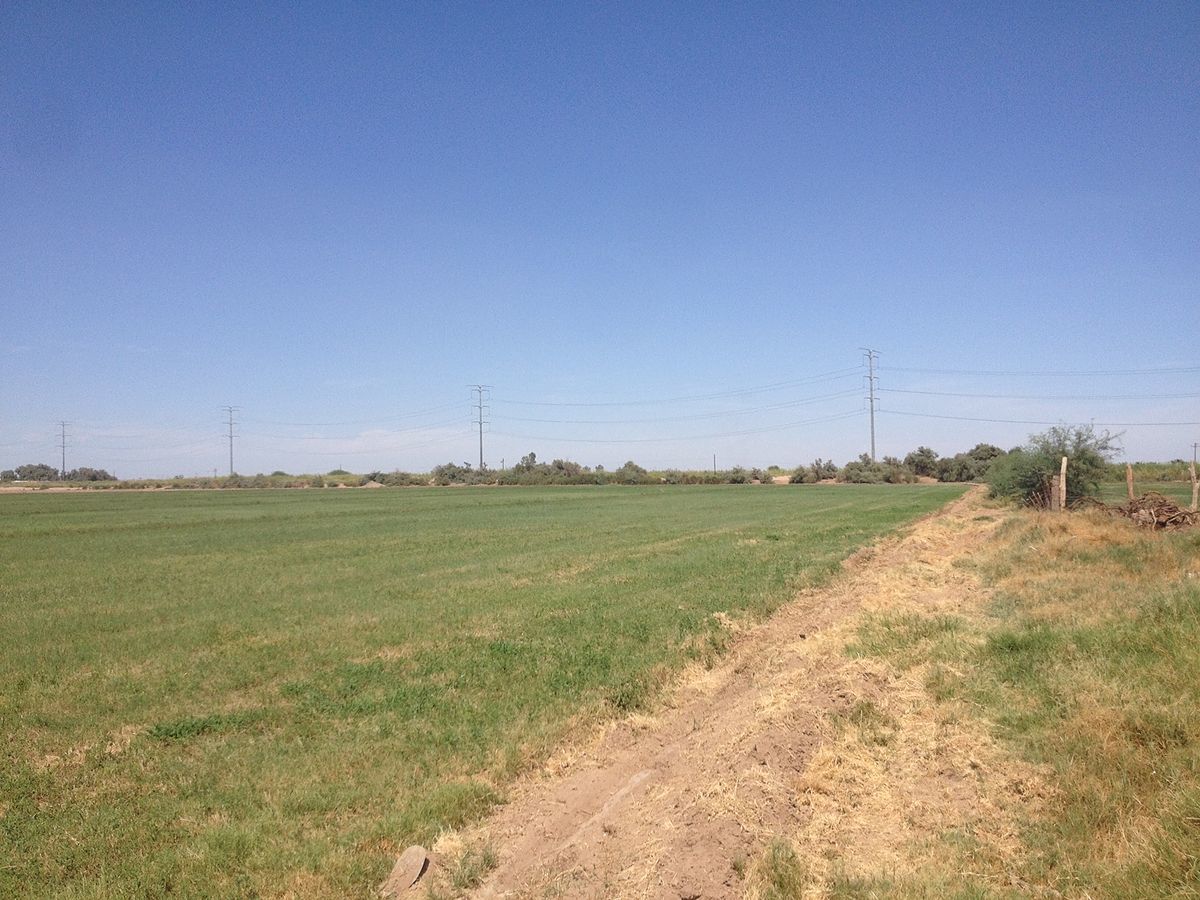 terreno-agrcola-en-venta-en-colonia-ahumada--mexicali6-17958