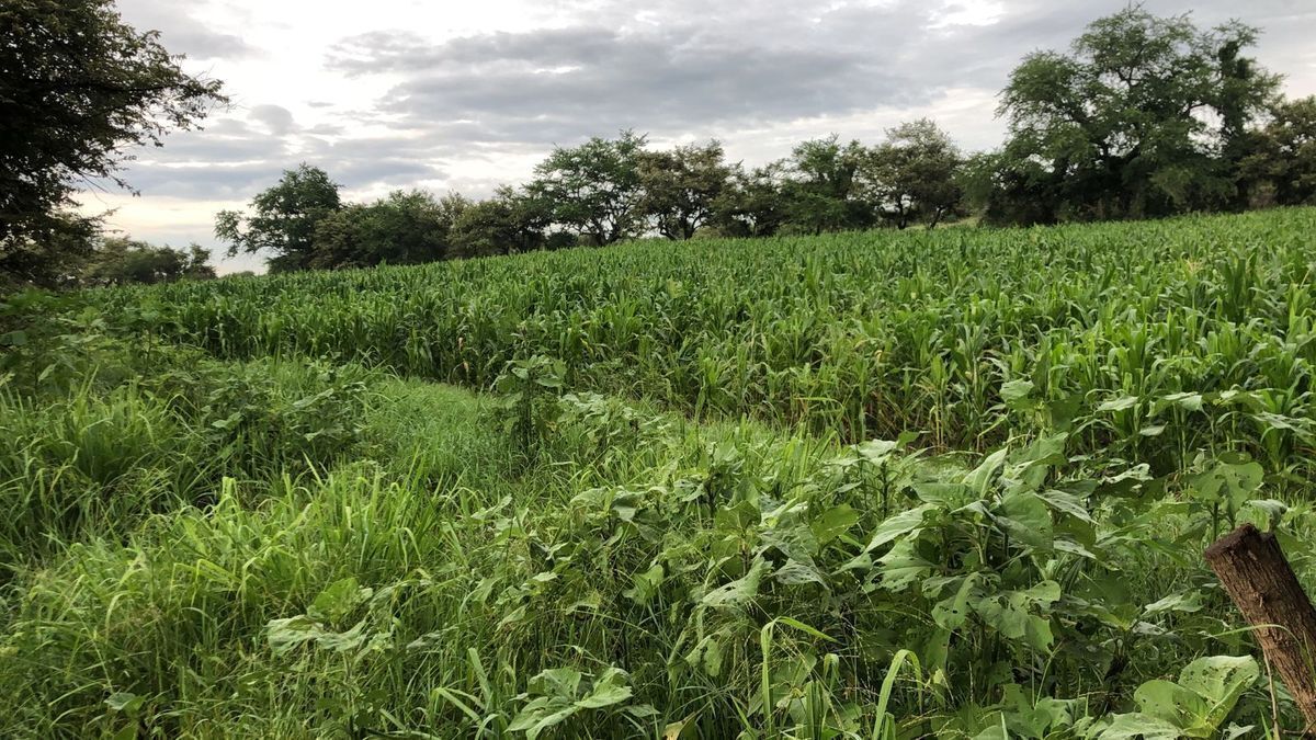 TERRENO BIEN UBICADO CON CANAL DE RIEGO