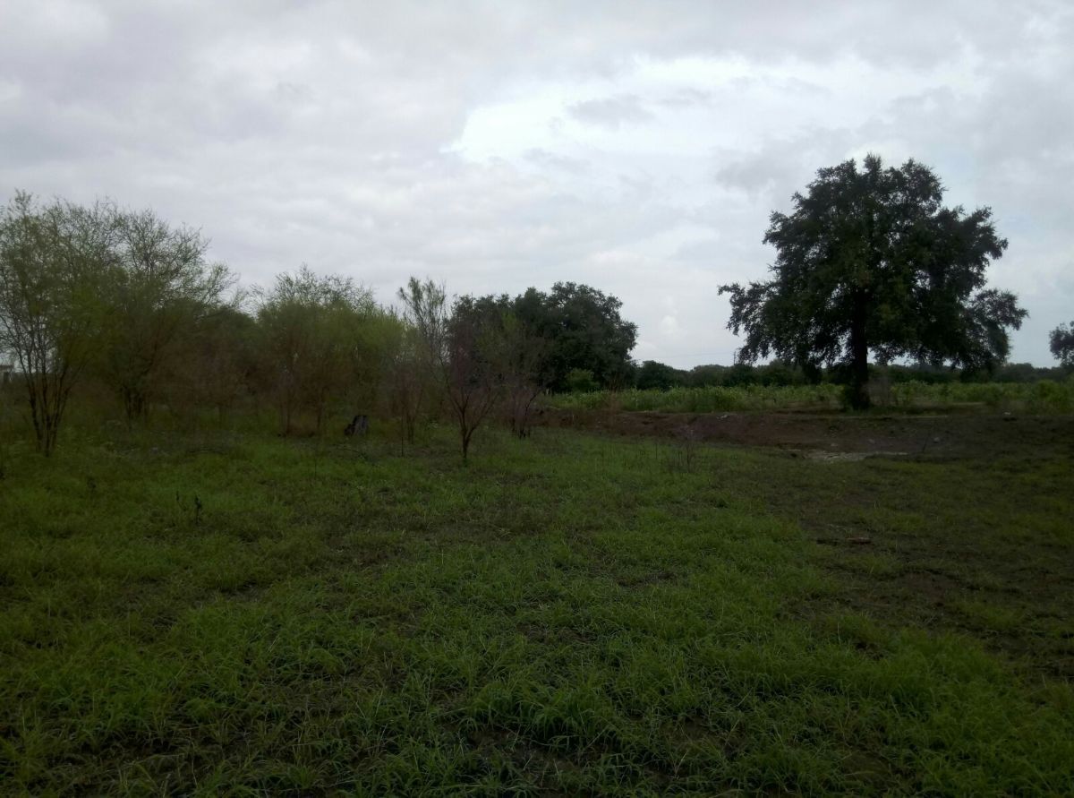 terreno-campestre-en-venta-cadereyta-n-lcerca-de-atongo-de-abajo2-37670